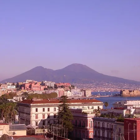 Guest house Olga Panoramic Apartment